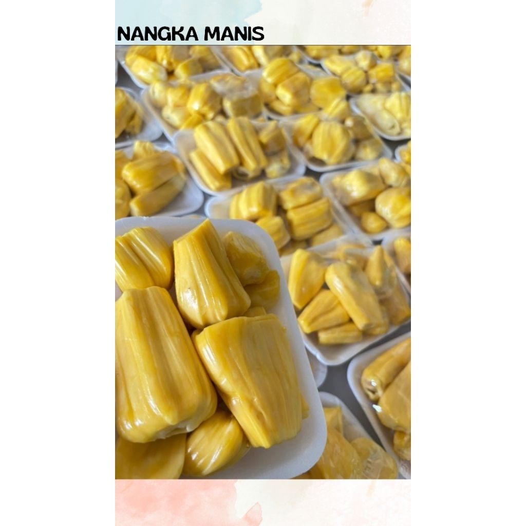 

NANGKA KUPAS MANIS