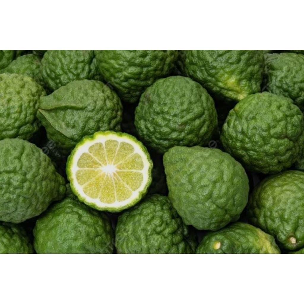 

jeruk purut fresh/bumbu dapur/jeruk purut asli 1kg