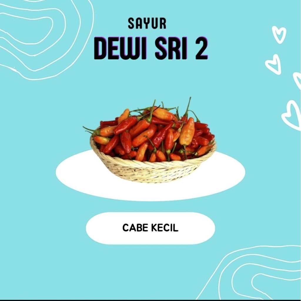 

Cabe Rawit Kecil - Dewi Sri 2