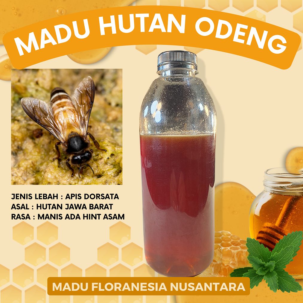 

MADU MURNI MADU ASLI HUTAN ODENG 500 Gram KUALITAS PREMIUM FULL NEKTAR 100% RAW HONEY MADU FLORANESIA NUSANTARA