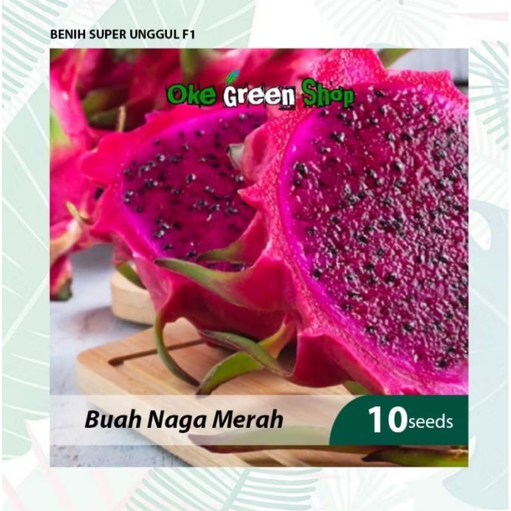 Benih Biji Buah Naga Unggul 10 Biji