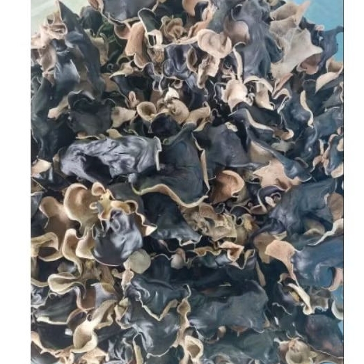 

Jamur kuping Kering SUPER Grade A 1 KG (SORTIR BESAR)