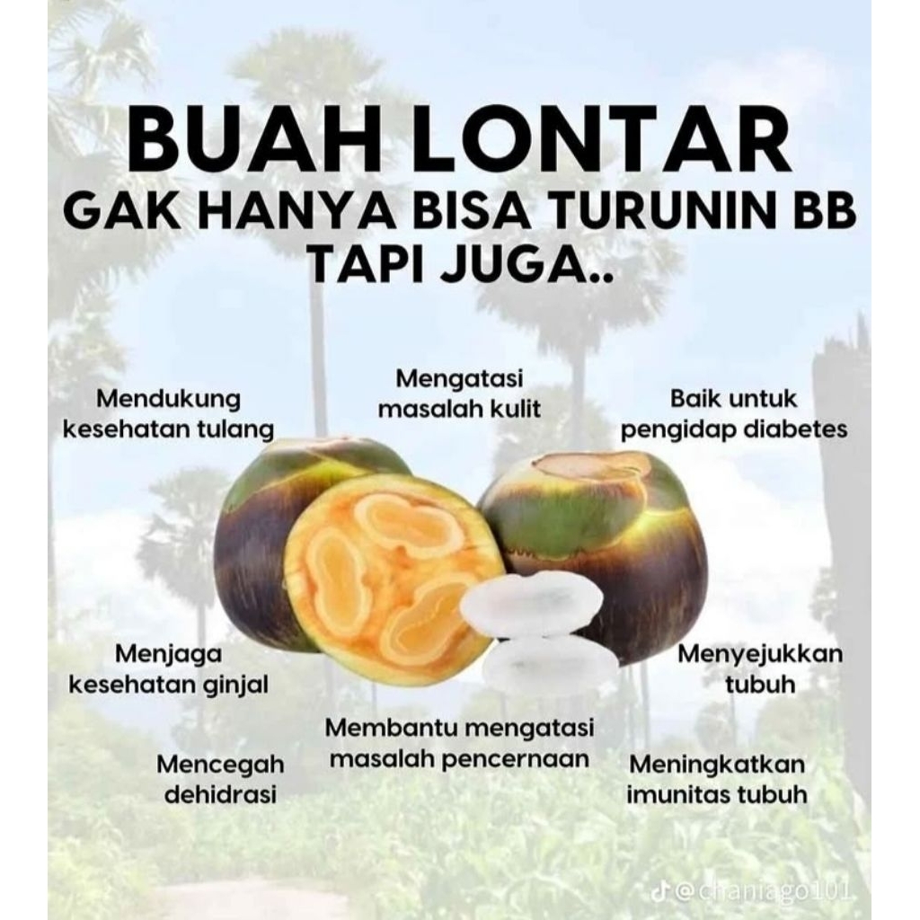 

Buah Lontar/Siwalan per pck/10pcs