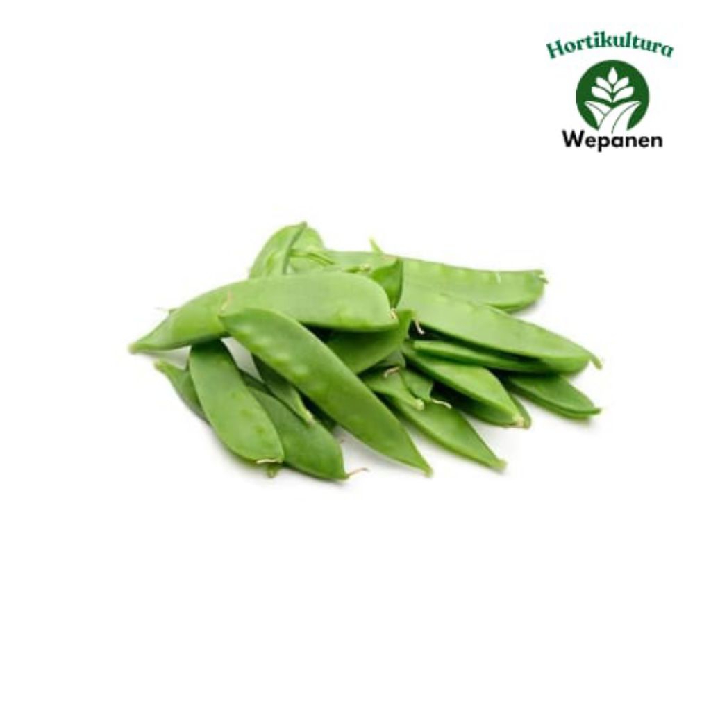 

Kapri Sayur Fresh 100gr