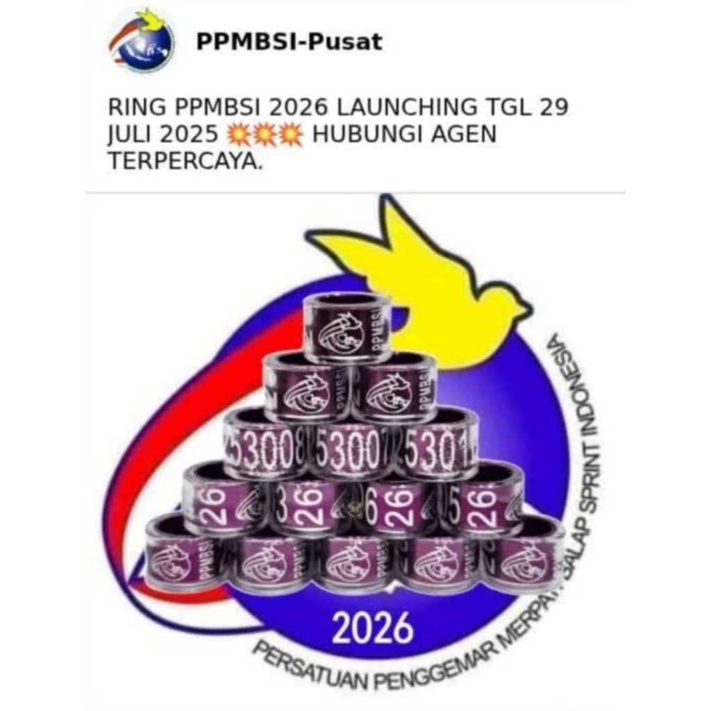 RING PPMBSI PUSAT 2024 ASLI RING JATIM 2024 MERPATI