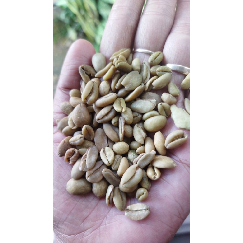 

kopiexselsadari pegununganlawukopikhasrasanangka