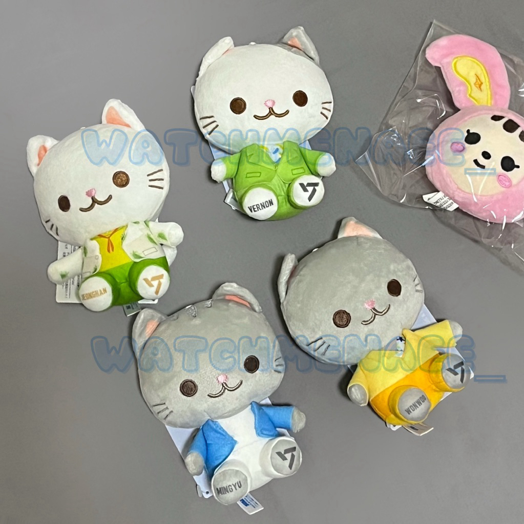 [READY] PetiTEEN Animal Seventeen Doll Jeonghan Wonwoo Mingyu Vernon Toram Miniteen Keychain Dora Bu