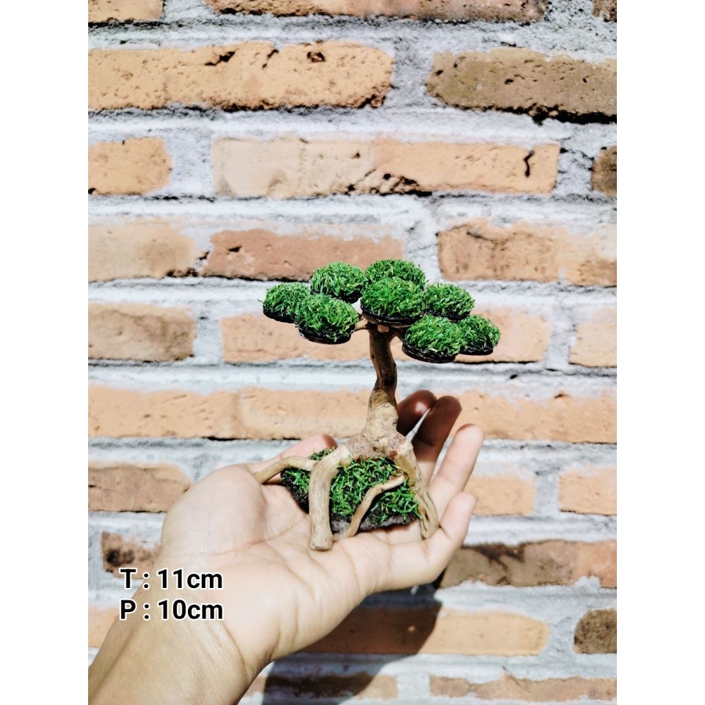 Bonsai Aquascape Sintetis