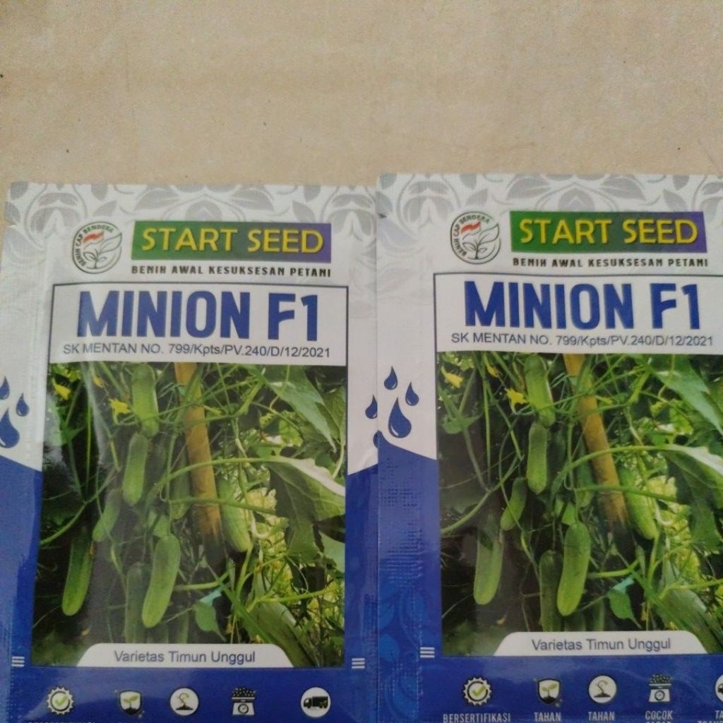 benih//bibit timun Minion f1 start seed isi 20gram setara dengan wulandari panah merah