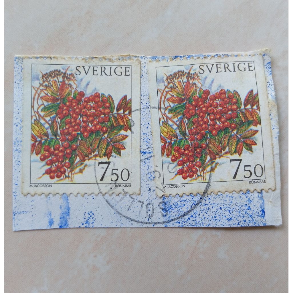 

Perangko Prangko Jadul Swedia Sweden Sverige 1996 Winter Berries Cap Bagus 2 Pcs - YN2620