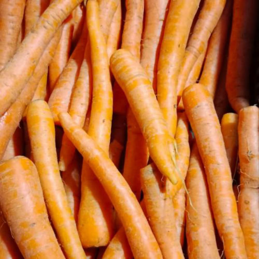 

wortel lokal 500g