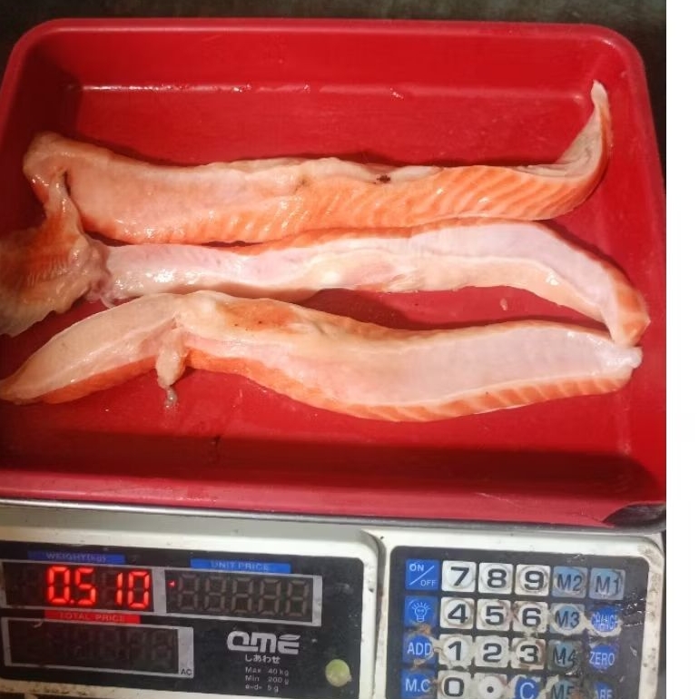 

salmon Belly Fresh premium 500gram