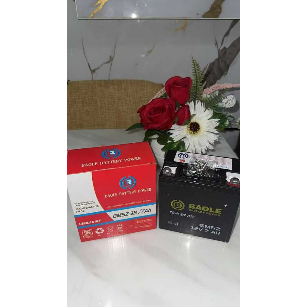 Aki BAOLE MURAH (GM5Z-3B7AH) 7ah