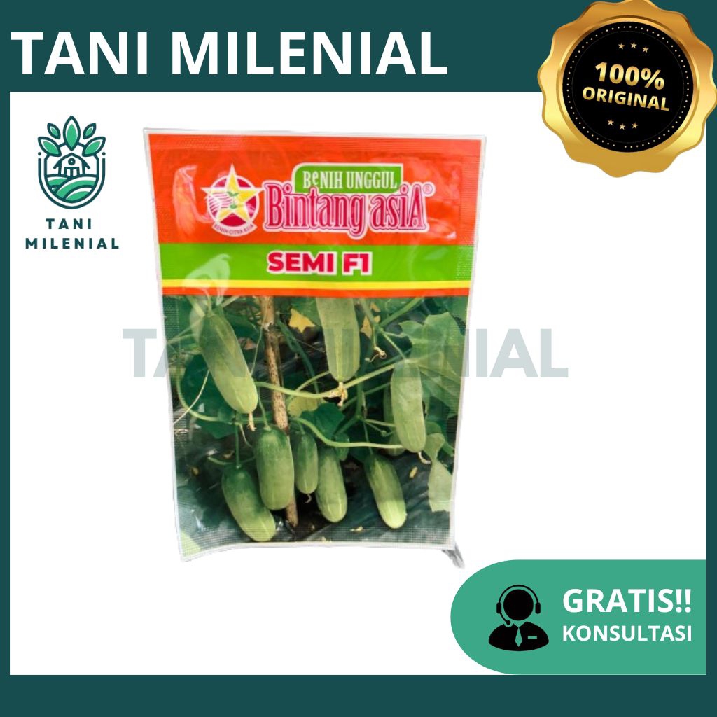 BENIH TIMUN SEMI F1/ BIBIT TIMUN BEBY (ORIGINAL) - 20GR