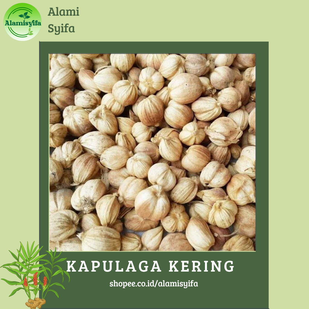 

KAPULAGA KERING DAN BERSIH KAPOL KERING BERAT 500 Gram