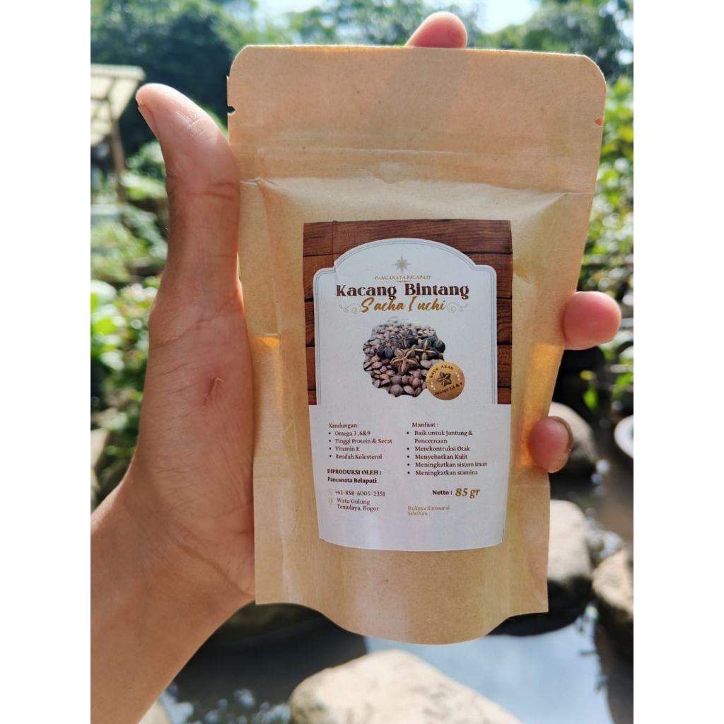 

Kacang Bentang Kacang sacha Inchi Kacang Herbal