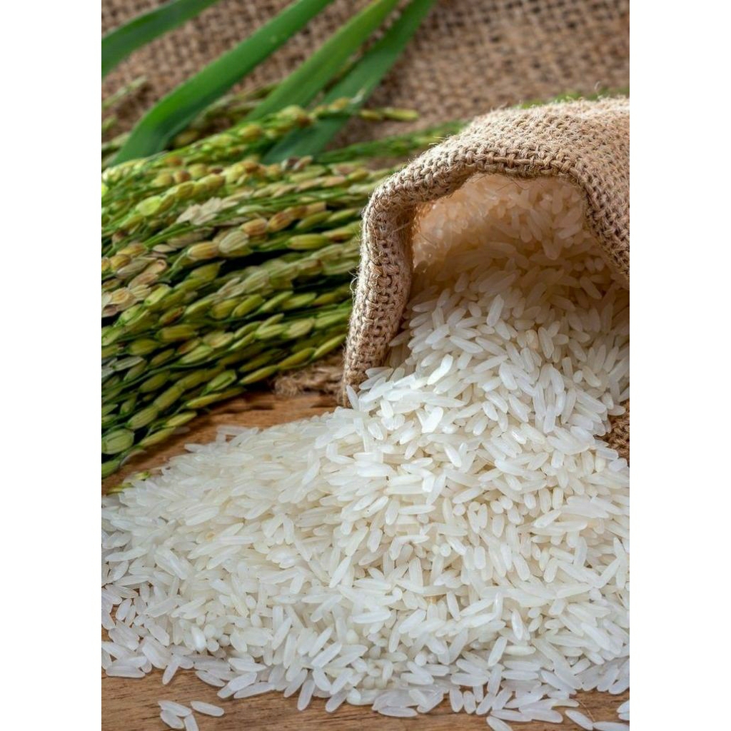 

Beras lokal Pandan wangi 10 kg