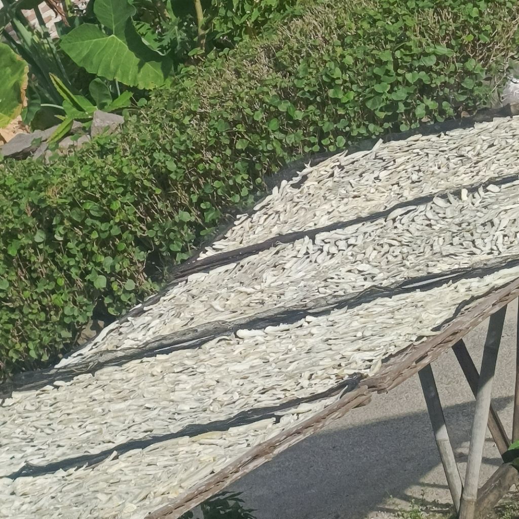 

Keripik manggleng keripik singkong mentah keripik singkong panjang