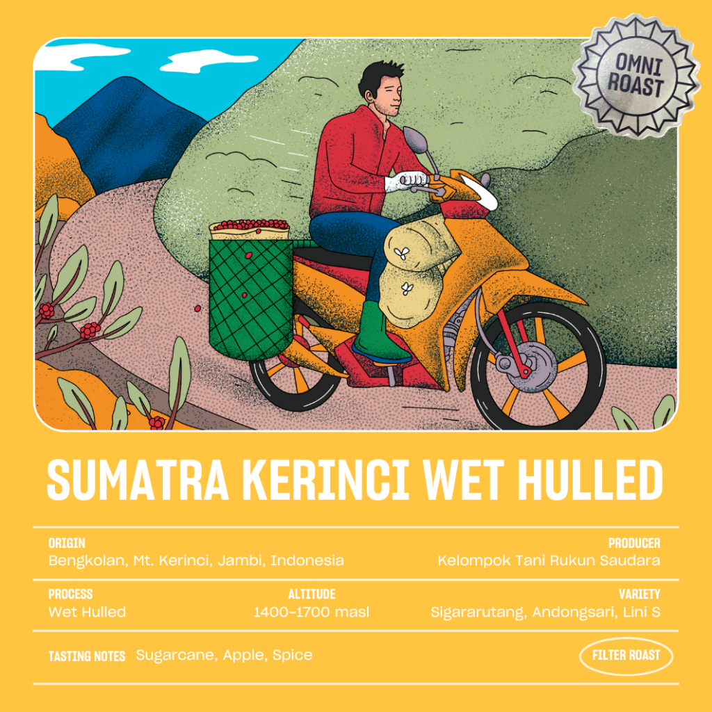 

Biji Kopi Arabica Sumatera Kerinci Wet Hulled Omni Roast (200gr) Specialty Arabica Coffee Beans