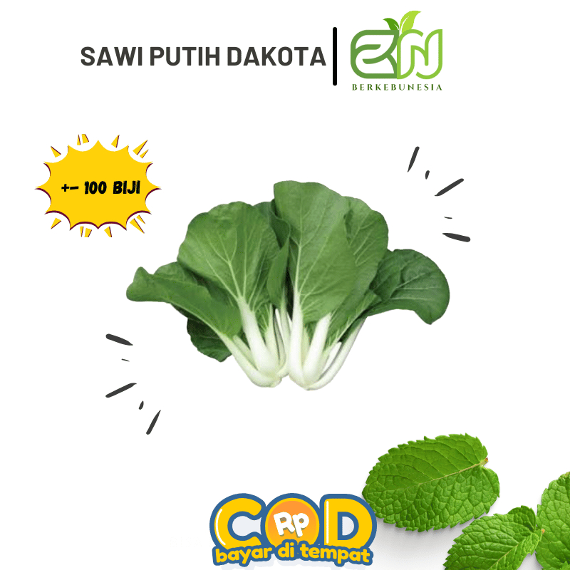 Benih Sayuran Sawi Pakcoy Putih Bibit Biji Sawi Pakcoy Putih