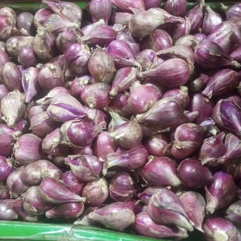 

bawang merah 1kg