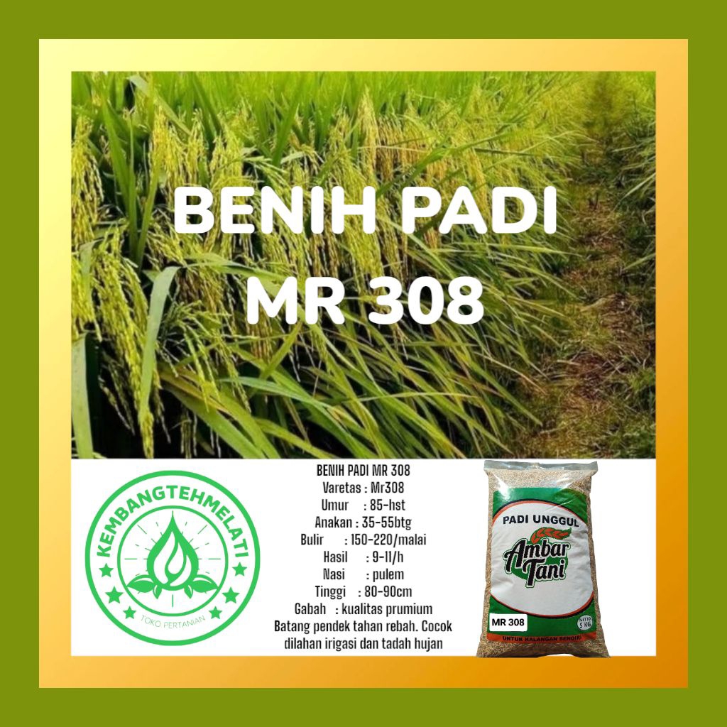BIBIT PADI UNGGUL MR 308 TERBARU GENJAH KEMASAN 5KG