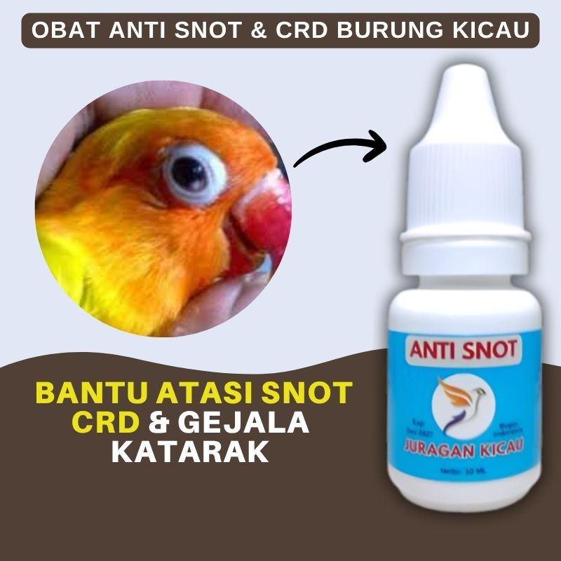 Obat Anti Snot Dan CRD Burung Kicau Original Kenari Murai Batu Sogon Lovebird Dll