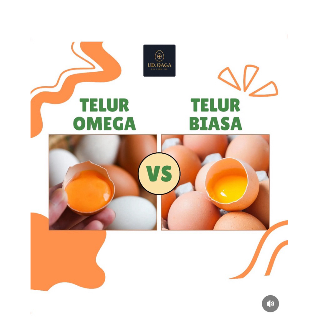 

Telur Omega Grade A Pack Isi 10