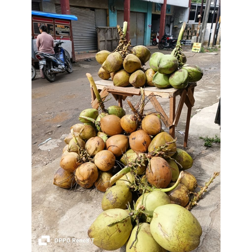 

kelapa muda segar original manis