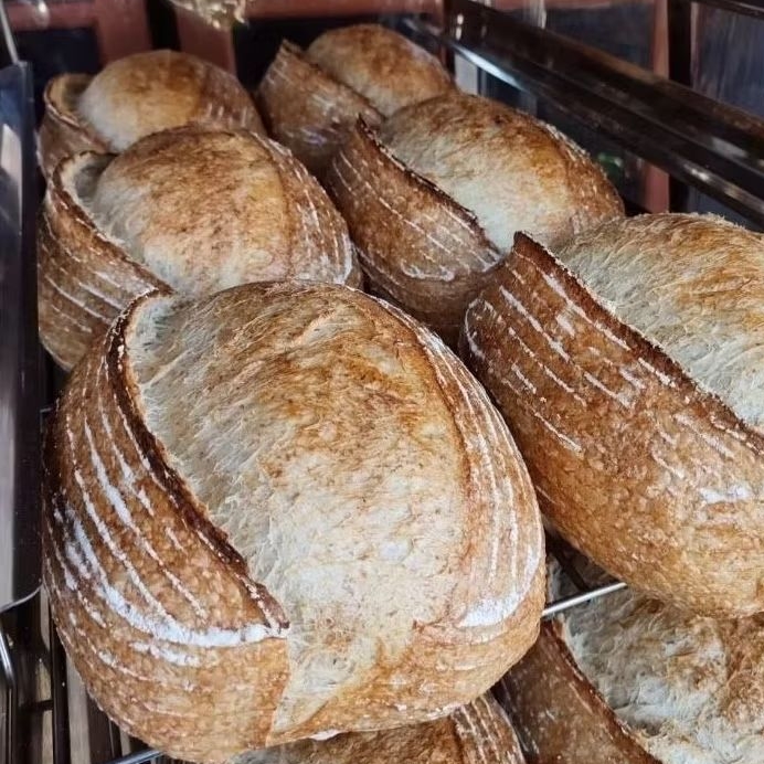 

Prasca Bakehouse | Rustic Sourdough | Whole Wheat Sourdough | Soaked Oatmeal With Butter Sourdough