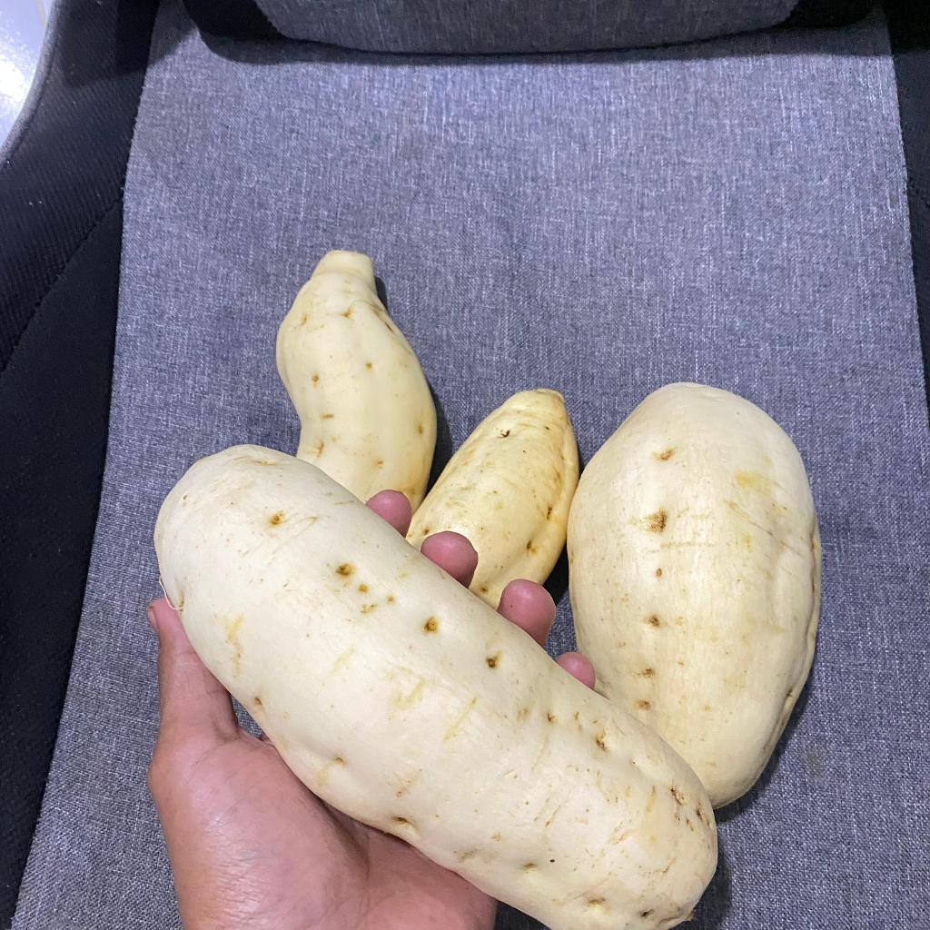 

Ubi Madu Cilembu Gred A super murah 1kg