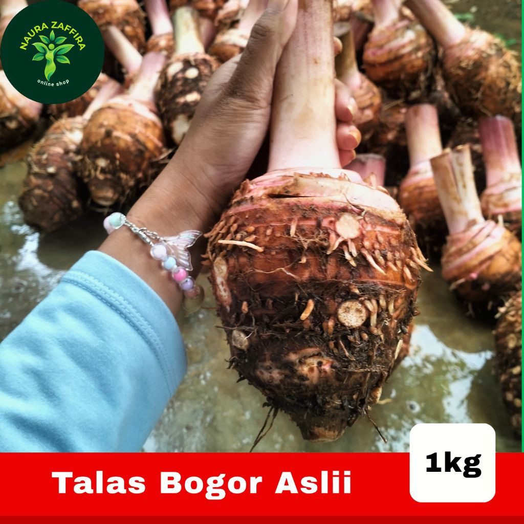 

talas bogor fratama 2
