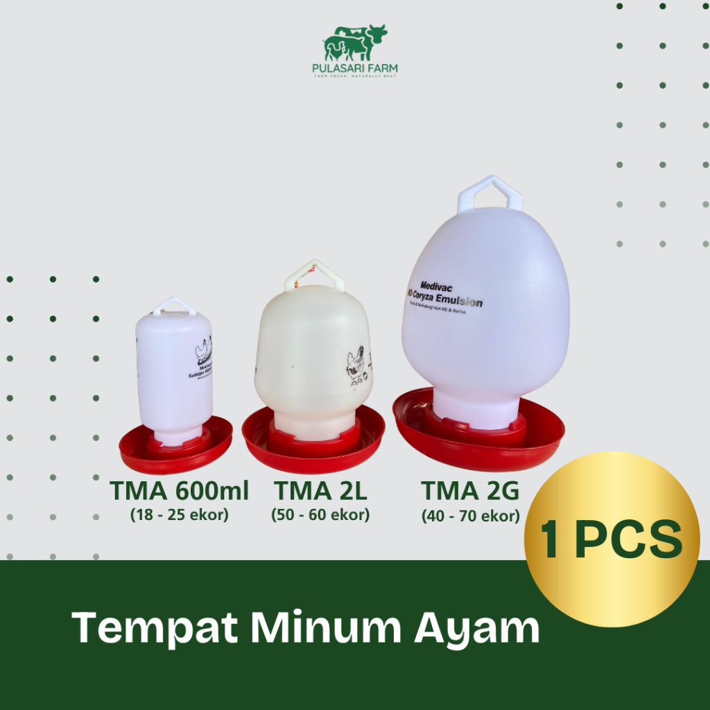 Tempat Minum Ayam Medion/Tempat Minum/Ternak Ayam