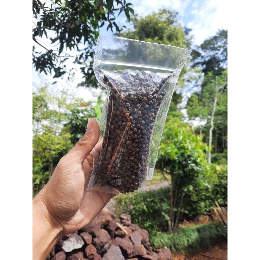 

Kemukus Kering | Kualitas super | Rempah Herbal | Suka Tani99