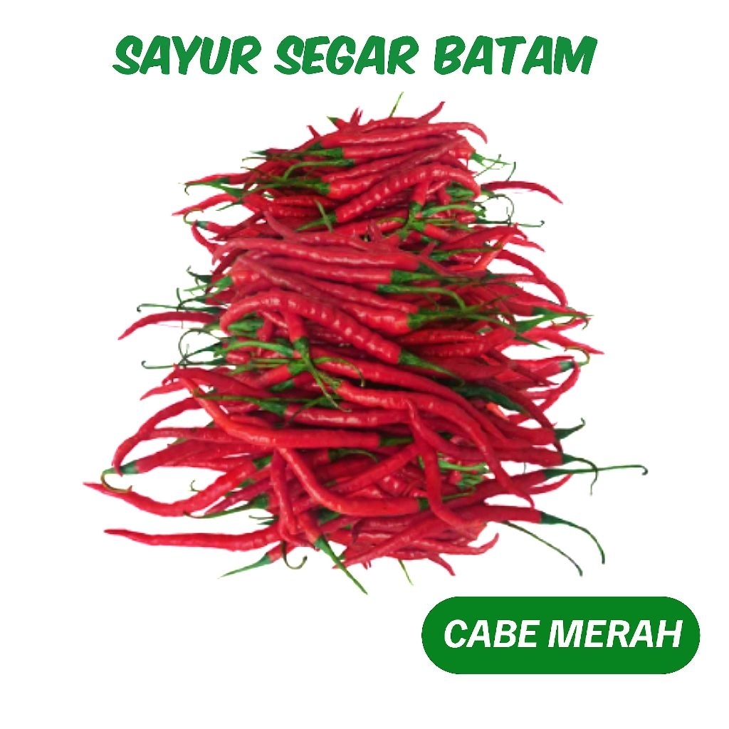

Cabe Merah Keriting Segar - Sayur Segar Batam