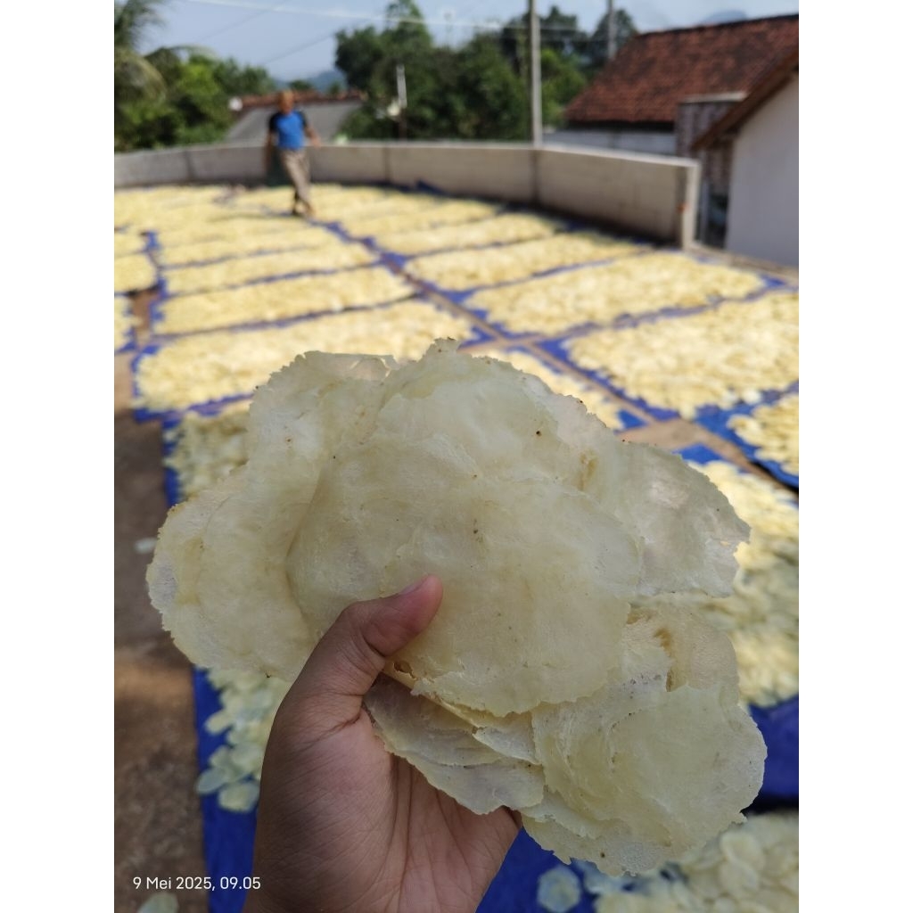 

EMPING SUPER LB BIJI TIGA KERING 1 KG