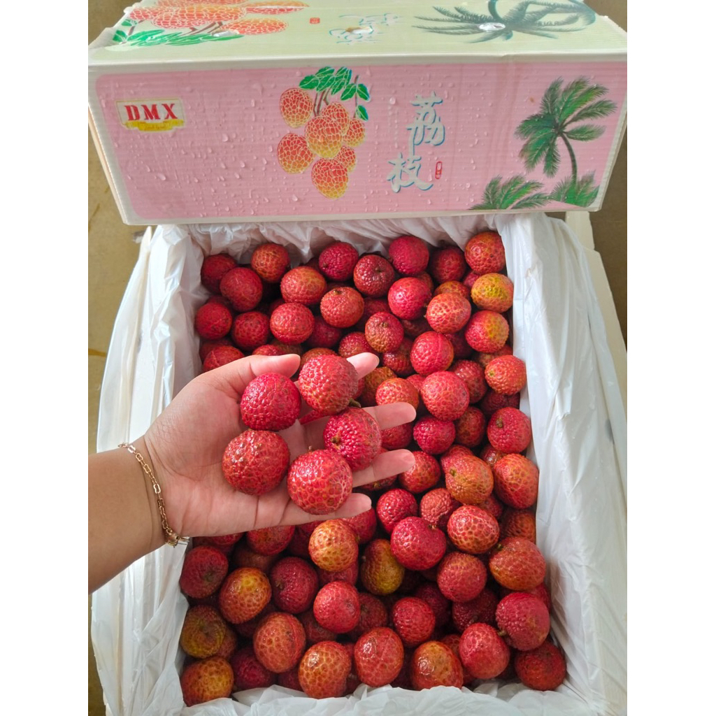 

LECI MERAH LECI MANIS 1kg