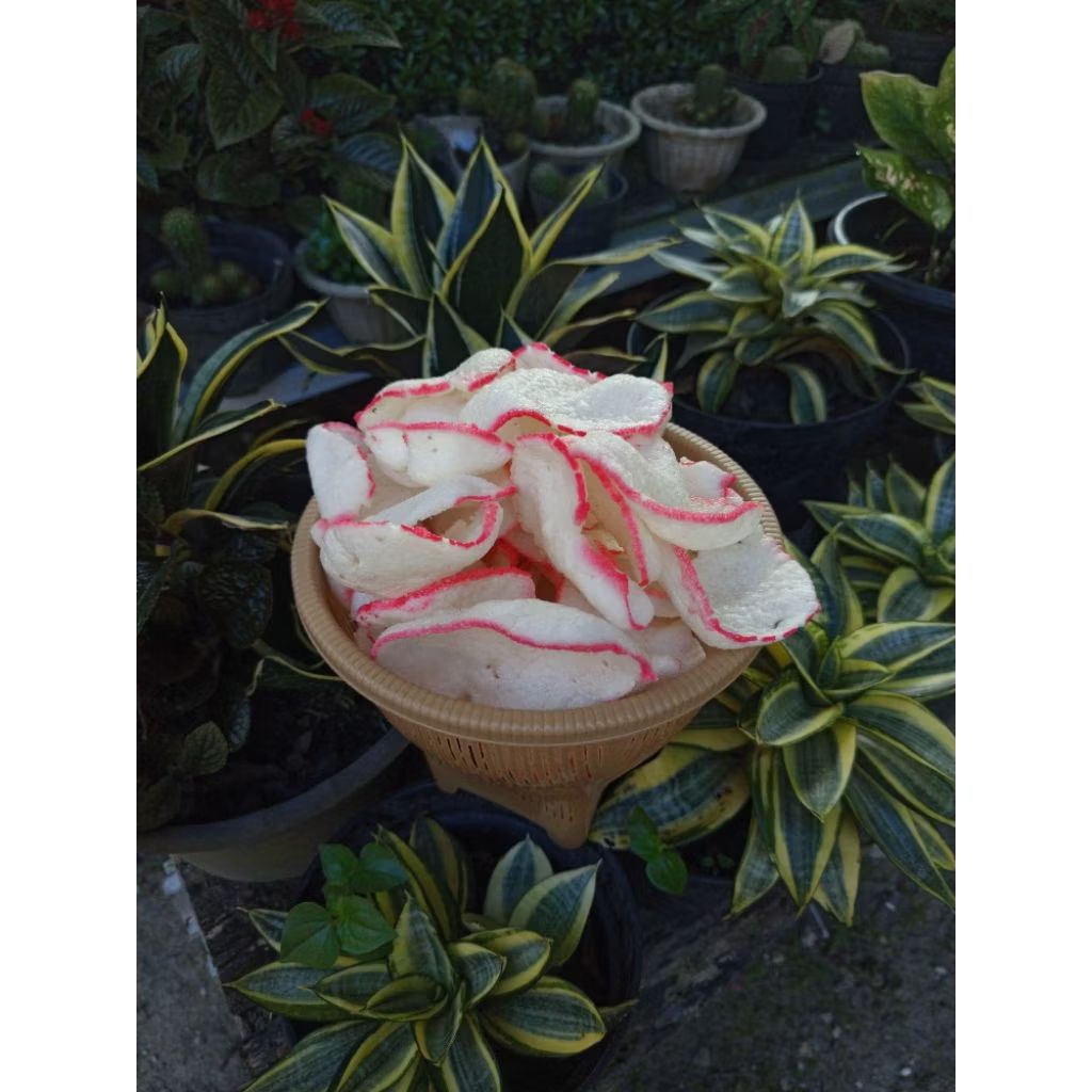 

Kerupuk Nasi