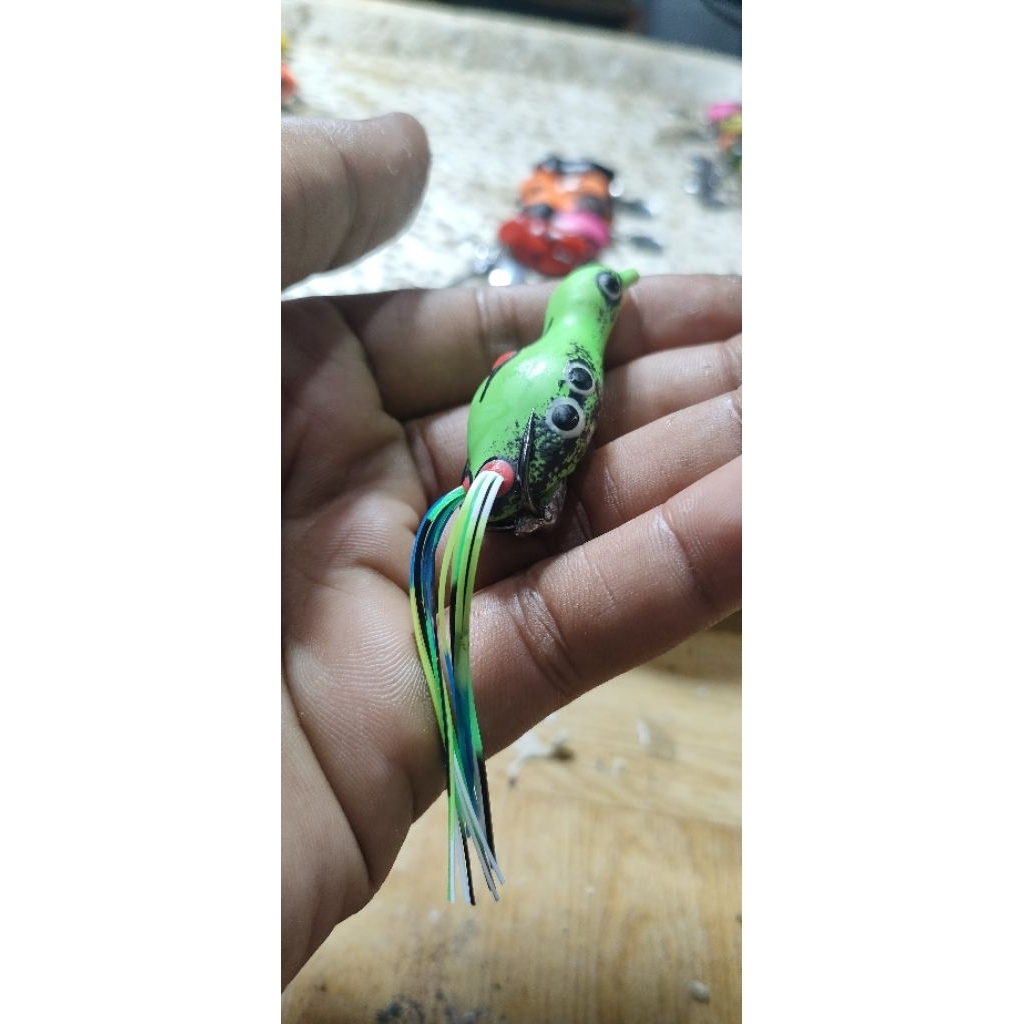 Sofrog Geol skrit berdiri