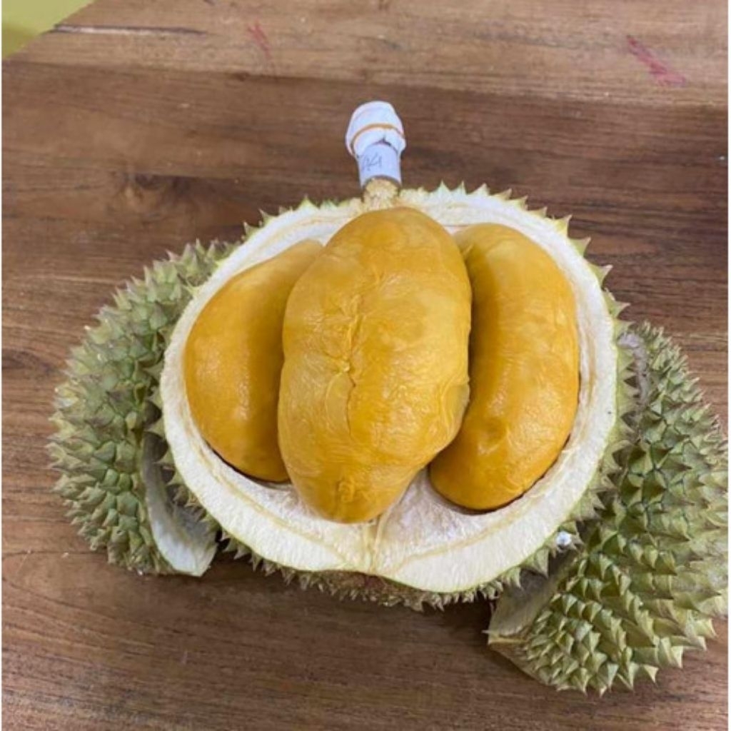 

Durian Black Thorn Sultan malaysia 500Gram- Durian Kupas Black Thorn Sultan malaysia 500Gram Siap Santap