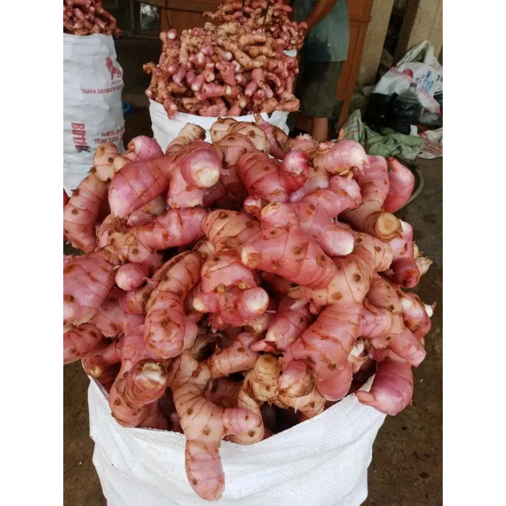 

LAJA MERAH 1 KG