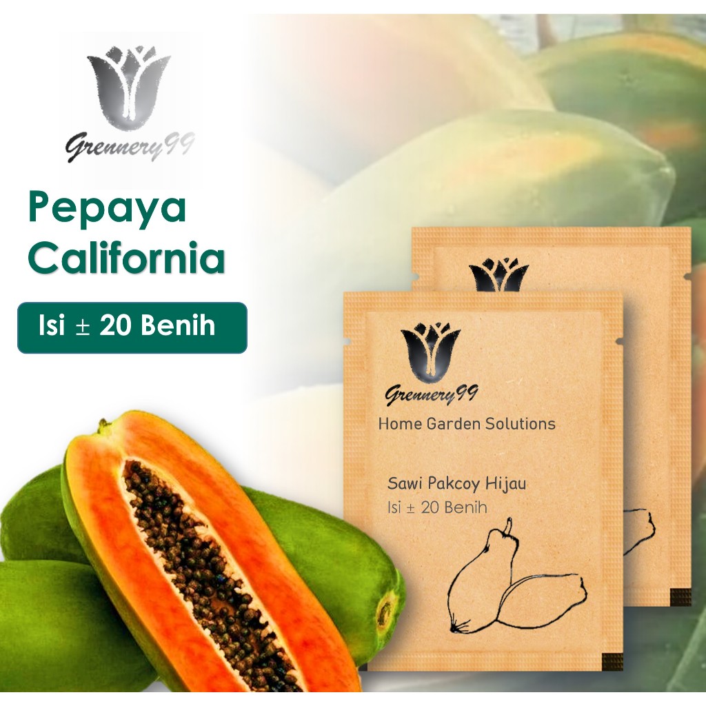 10 Benih Pepaya California F1 Calina IPB  Bibit Buah Kalifornia Unggul Berkualitas