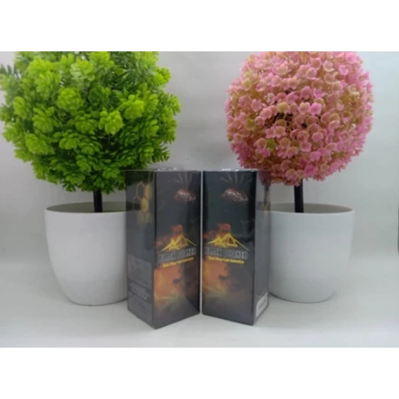 

Black borneo madu hitam pahit kalimantan 1 botol isi@120ml original untuk kesehatan