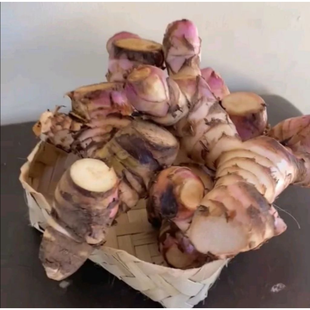 

umbi ganyong lereng Muria manis,pulen 1 kg