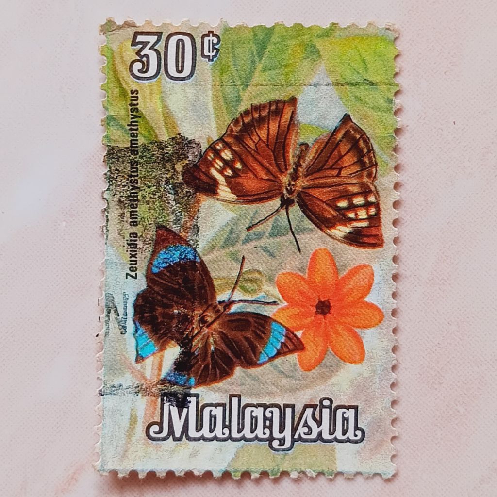 

(AD) Perangko Malaysia 1970 Butterflies of Malaysia (1970-1977) - Common Saturn (Zeuxidia amethystus) 30 sen Used