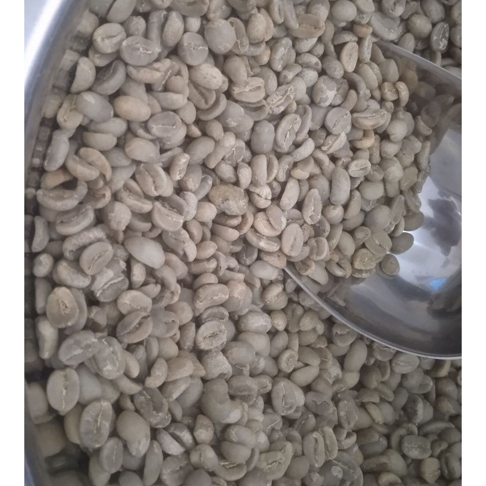 

Green Bean Biji Kopi ARABIKA Aceh Gayo Full Wash - 1 kg
