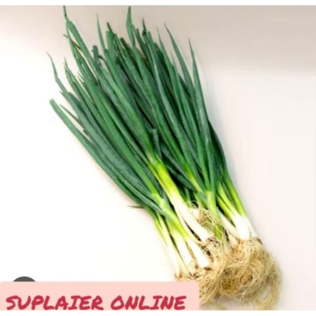 

daun bawang 250gram