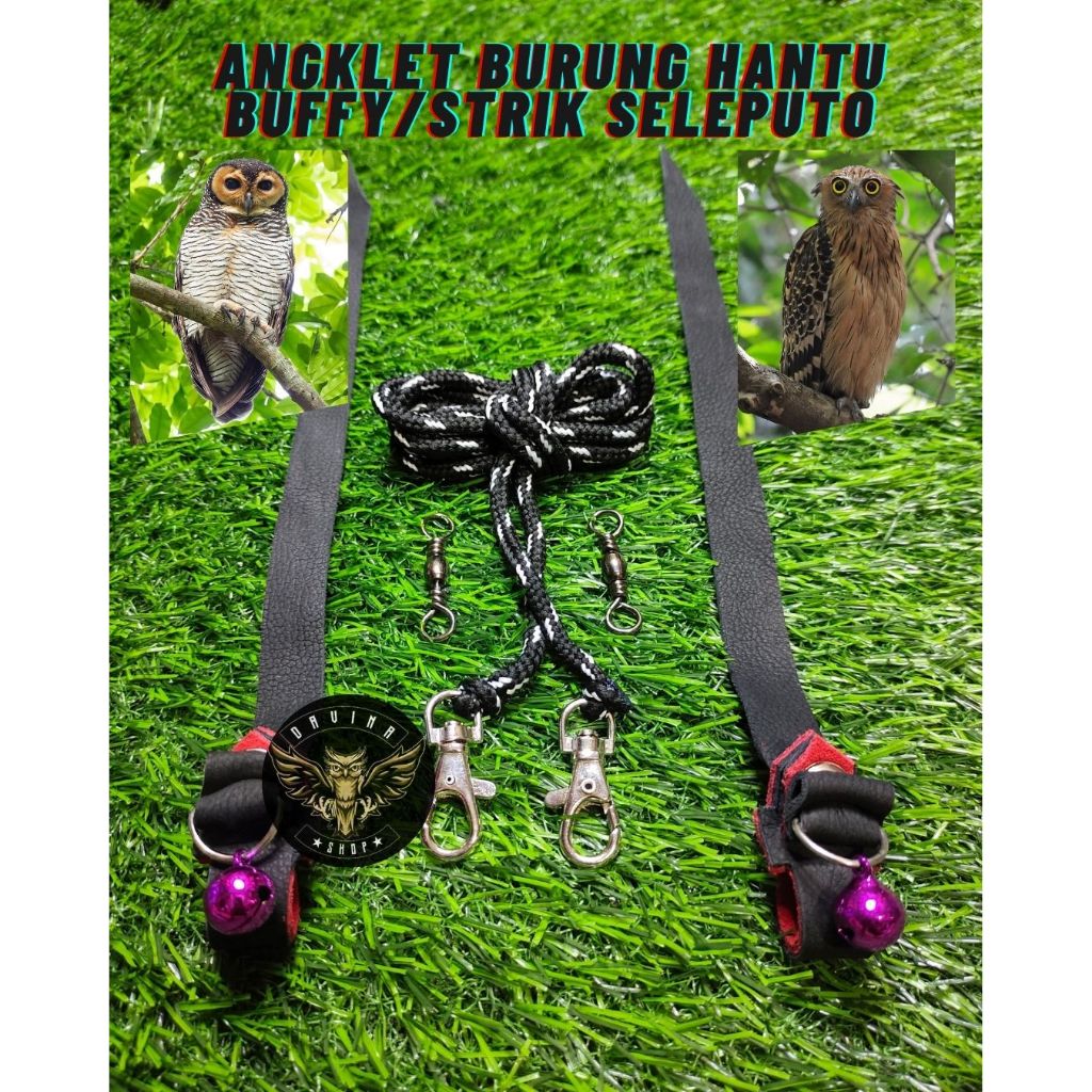 Angklet burung hantu buffy/strik seluputo