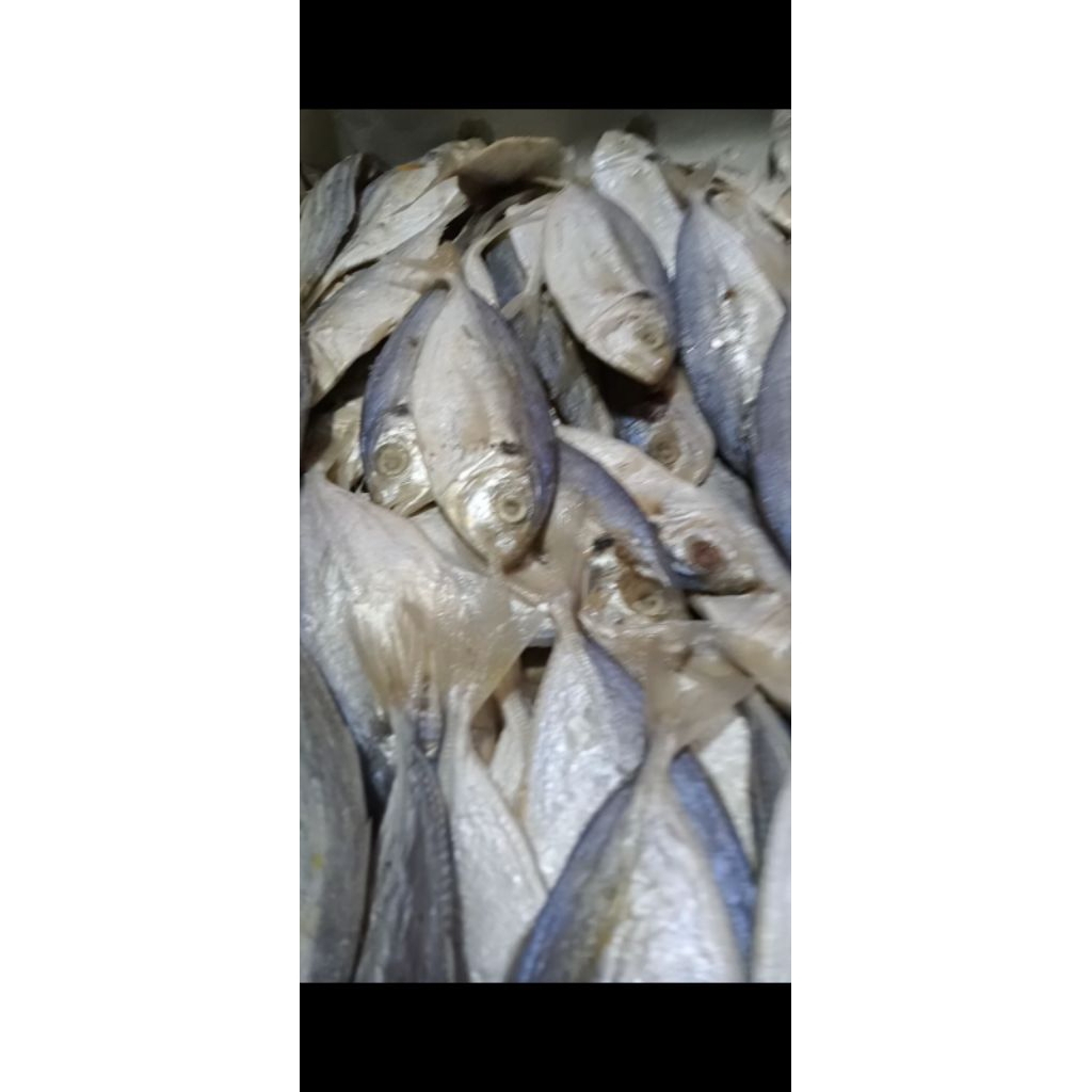 

ikan asin selar