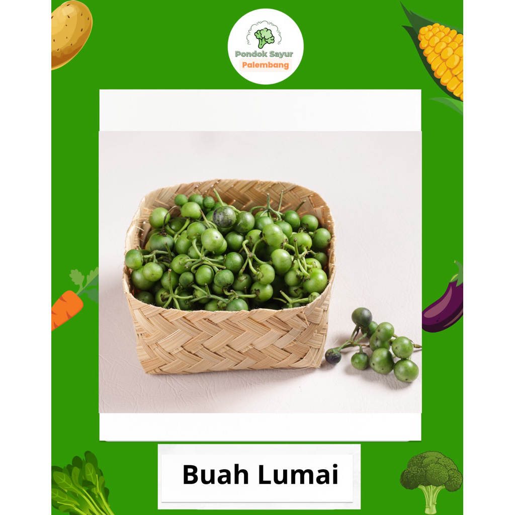 

BUAH LUMAI PONDOK SAYUR FRESH PALEMBANG